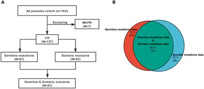 CAR-T therapy followed by allogeneic hematopoietic stem cell transplantation for refractory/relapsed acute B lymphocytic leukemia: Long-term follow-up results